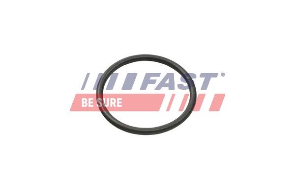 pierścień uszczelniający, przewód cieczy chłodzącej FAST FT49935