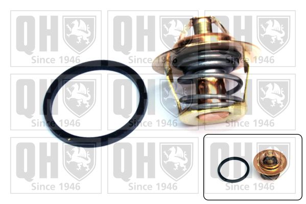 Termostat, środek chłodzący QUINTON HAZELL QTH229K