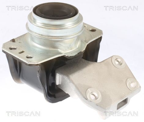 Łożyskowanie silnika TRISCAN 8505 28112