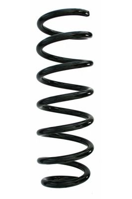 Arc spiral SPIDAN 87738