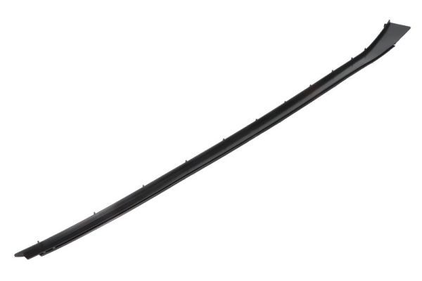 Elemente decorative/protectie, parbriz BLIC 5703-04-6037367Q