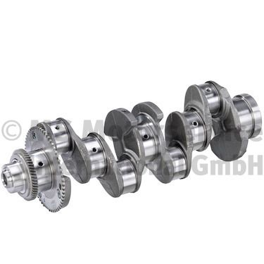 Arbore cotit BF 20051404810