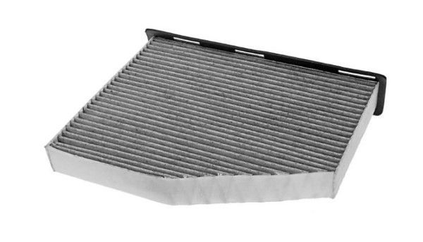 Filtru, aer habitaclu MTR 12138291