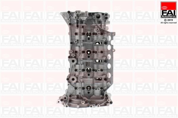 Głowica silnika FAI AUTOPARTS BCH093