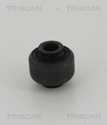 Łożyskowanie, wahacz TRISCAN 8500 10876