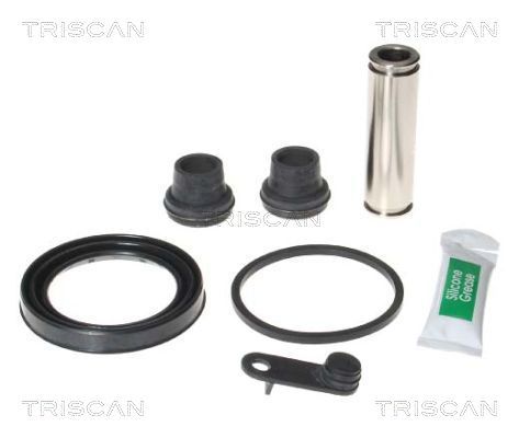 Zestaw naprawczy, zacisk hamulca TRISCAN 8170 205725