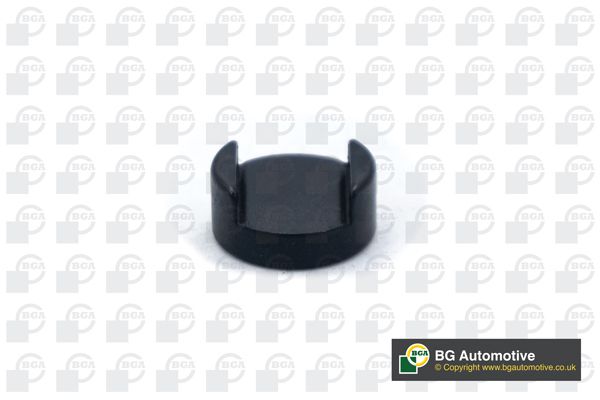 Piese apasare, supapa admisie/evacuare BGA TP3999