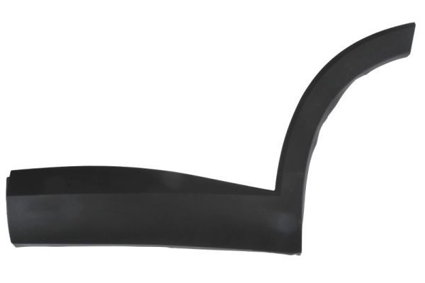Elemente decorative/protectie, portiera BLIC 5703-04-7821575P