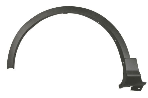 Ehis-/kaitseliist,Poritiib