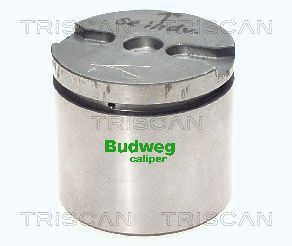 Tłoczek, zacisk hamulca TRISCAN 8170 235733