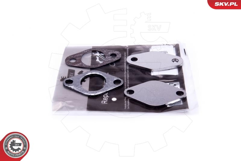 Set de reparație, supapă AGR ESEN SKV 14SKV530