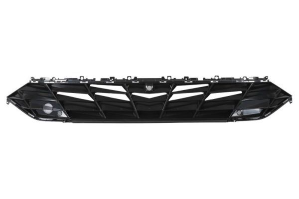 Grila radiator BLIC 6502-07-3174996P