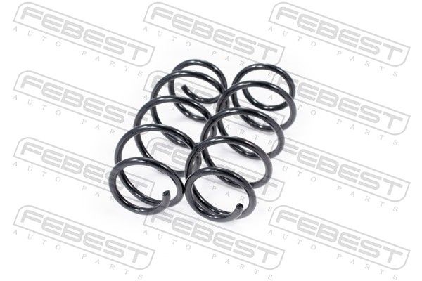 Zestaw zawieszenia, sprężyny FEBEST 2508-002F-KIT