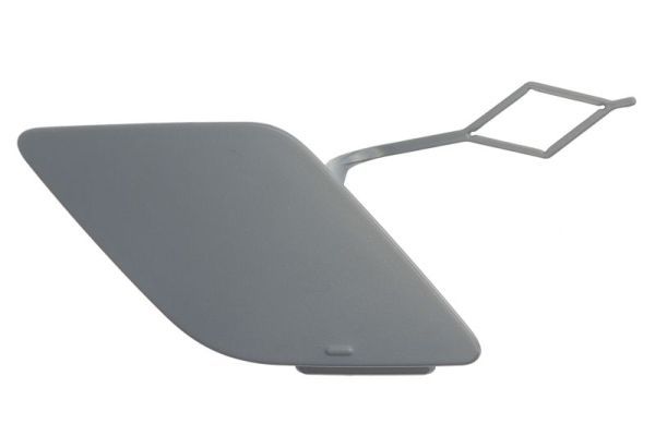 acoperire tampon,sistem de remorcare BLIC 5513-00-0064972P