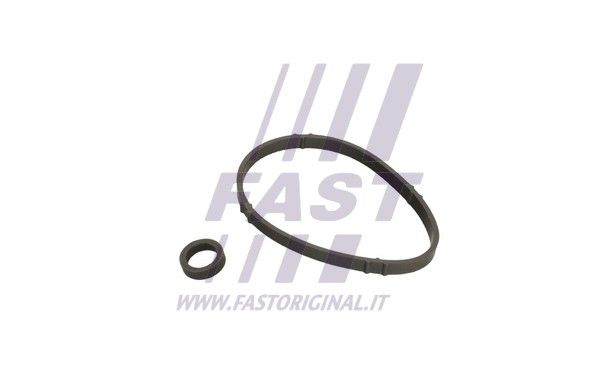Uszczelka, chłodnica olejowa FAST FT48952