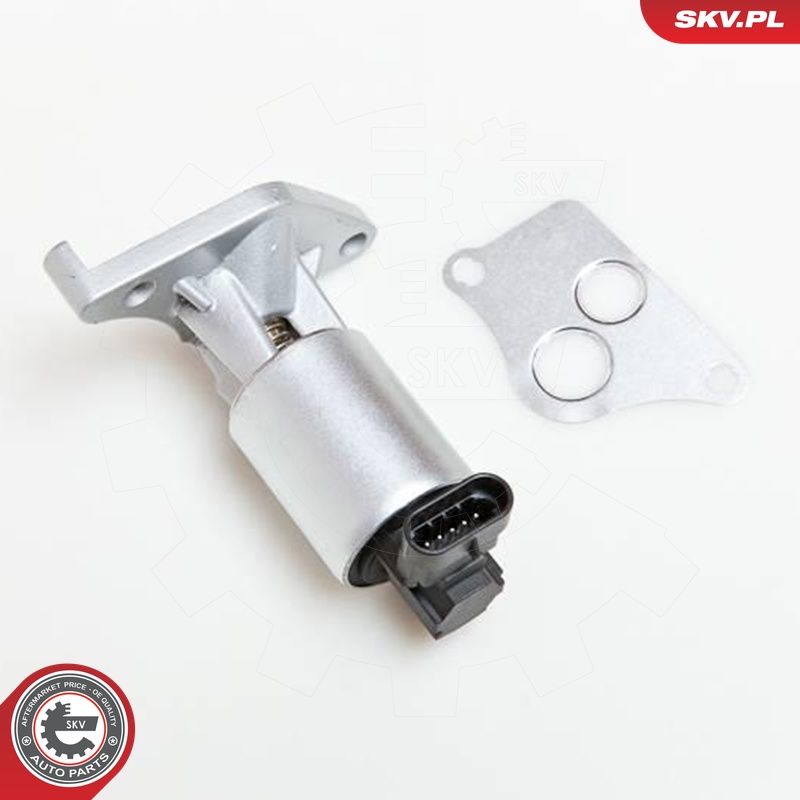 Levně AGR-Ventil ESEN SKV 14SKV013