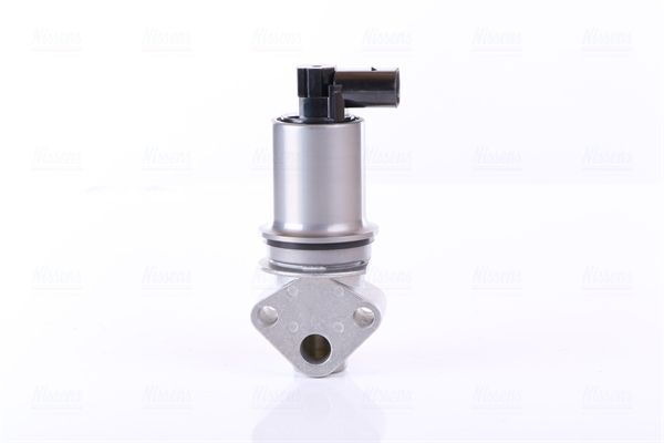 Izpl. gāzu recirkulācijas vārsts