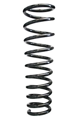 Arc spiral SPIDAN 49541