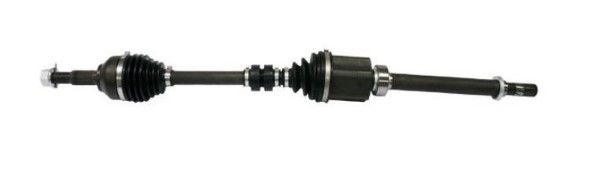 Planetara MTR 12192075