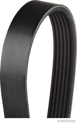 Pasek klinowy wielorowkowy HERTH+BUSS JAKOPARTS J1061195