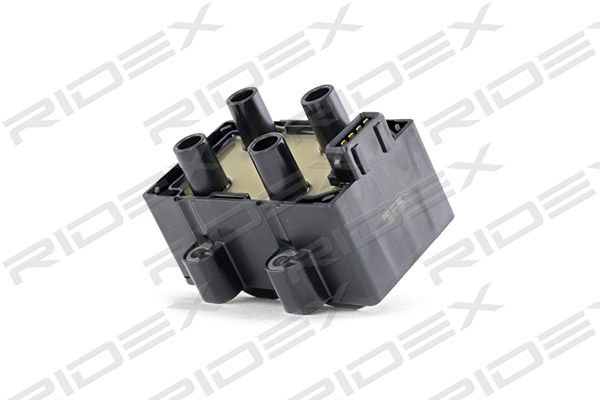 Cewka zapłonowa RIDEX 689C0160