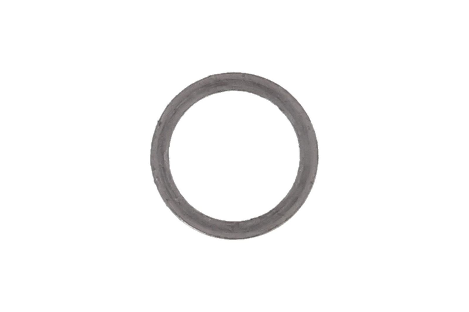 Blīve, Izplūdes kolektors