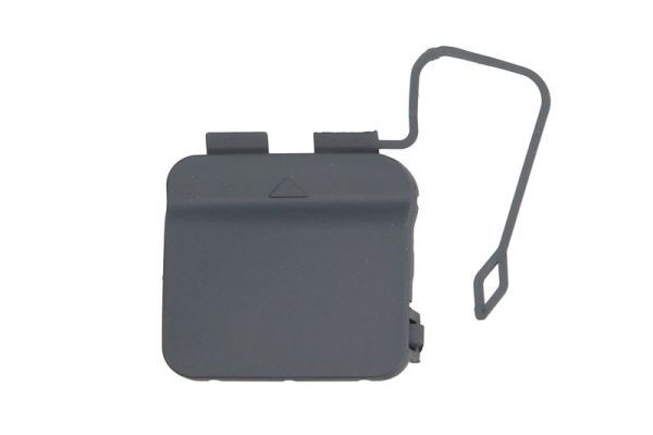 acoperire tampon,sistem de remorcare BLIC 5513-00-0077929P