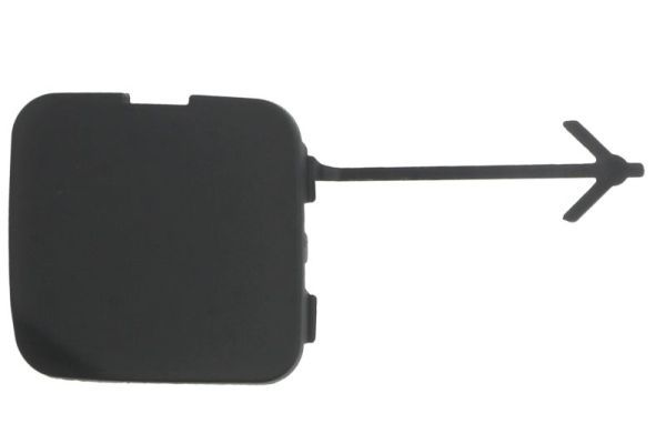 acoperire tampon,sistem de remorcare BLIC 5513-00-6063920P