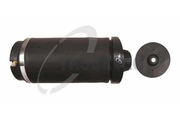 Pneimoatspere, Balstiekārta