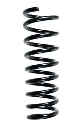 Arc spiral SPIDAN 55579