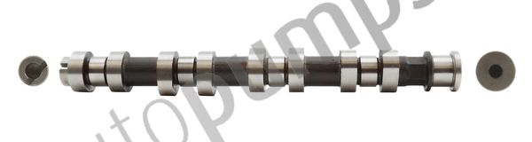 Ax cu came Autopumps UK AC2908