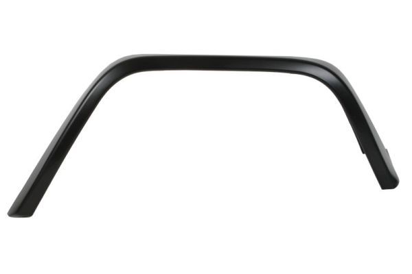 Ehis-/kaitseliist,Poritiib