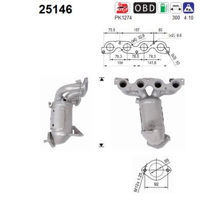 Catalizator AS 25146