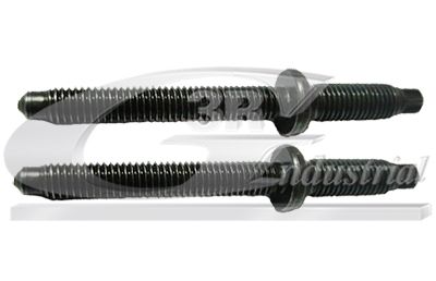 Surub, suport injector 3RG 83295