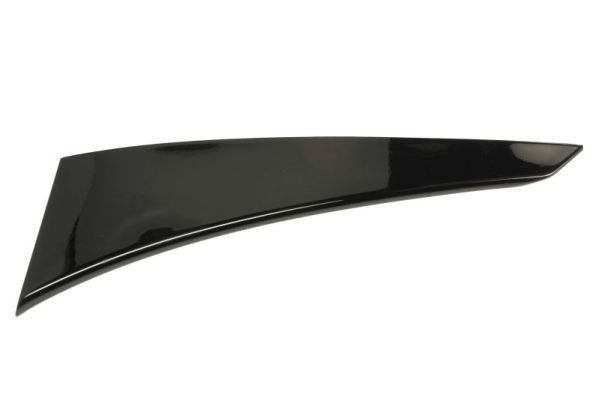 Elemente decorative/protectie, panou lateral BLIC 5703-04-8115572P
