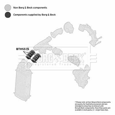 Przewód powietrza doładowującego BORG & BECK BTH1225