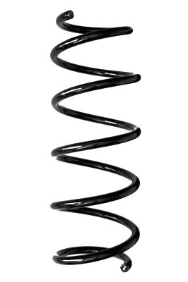 Arc spiral SPIDAN 88132