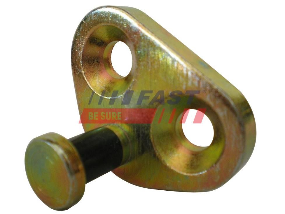 Placă de închidere, broască ușă spate FAST FT95424