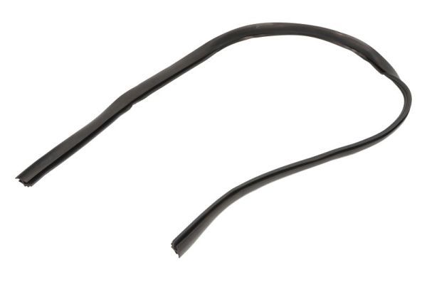 Elemente decorative/protectie, parbriz BLIC 5703-04-6037318Q