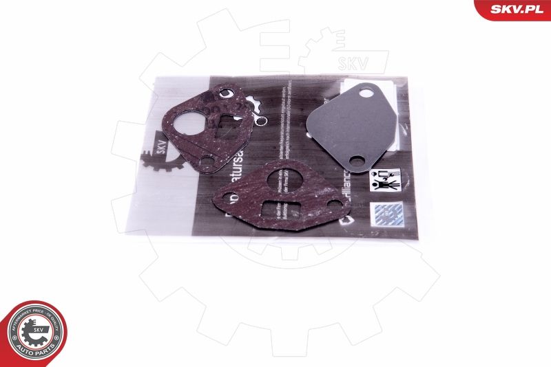 Set de reparație, supapă AGR ESEN SKV 14SKV553