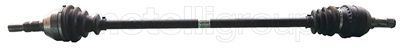 Planetara METELLI 17-0853