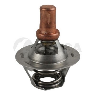 Термостат, охлаждающая жидкость