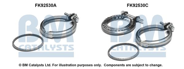 Zestaw montażowy, katalizator BM CATALYSTS FK92530