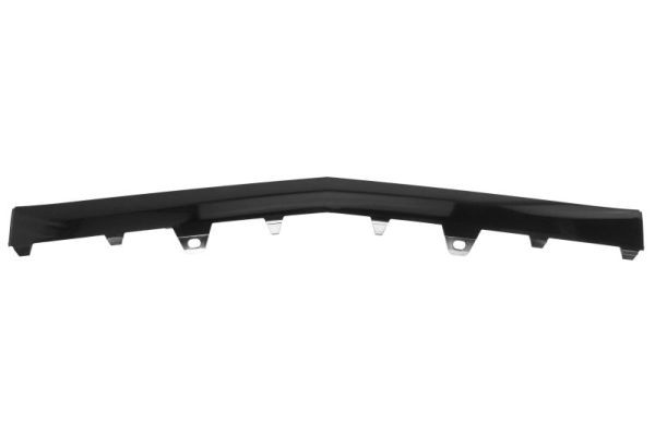 Ehis-/kaitseliist,Põrkeraud