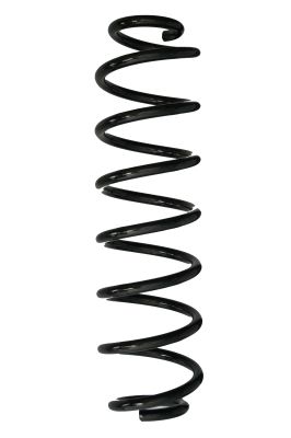 Arc spiral SPIDAN 88057