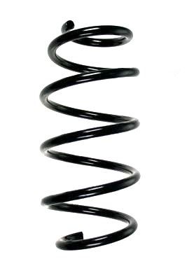 Arc spiral SPIDAN 85867