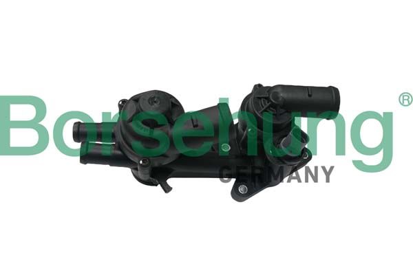 termostat,lichid racire BORSEHUNG B18249