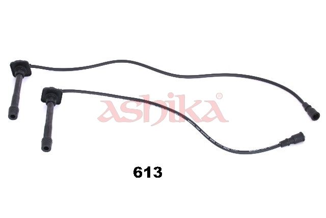 Set cablaj aprindere ASHIKA 132-06-613