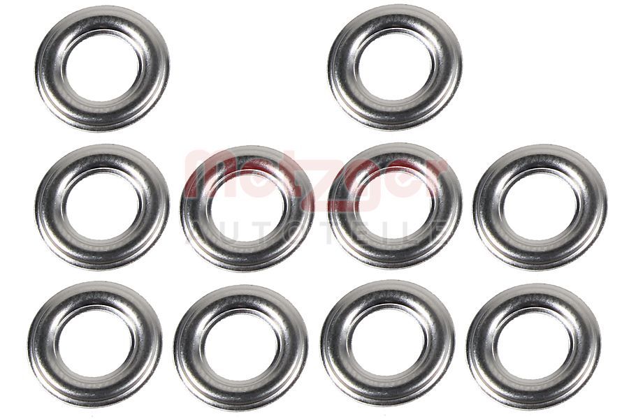 Kaitseseib,sissepritsesüsteem