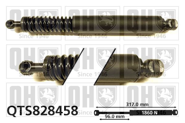 Sprężyna gazowa, pokrywa bagażnika QUINTON HAZELL QTS828458